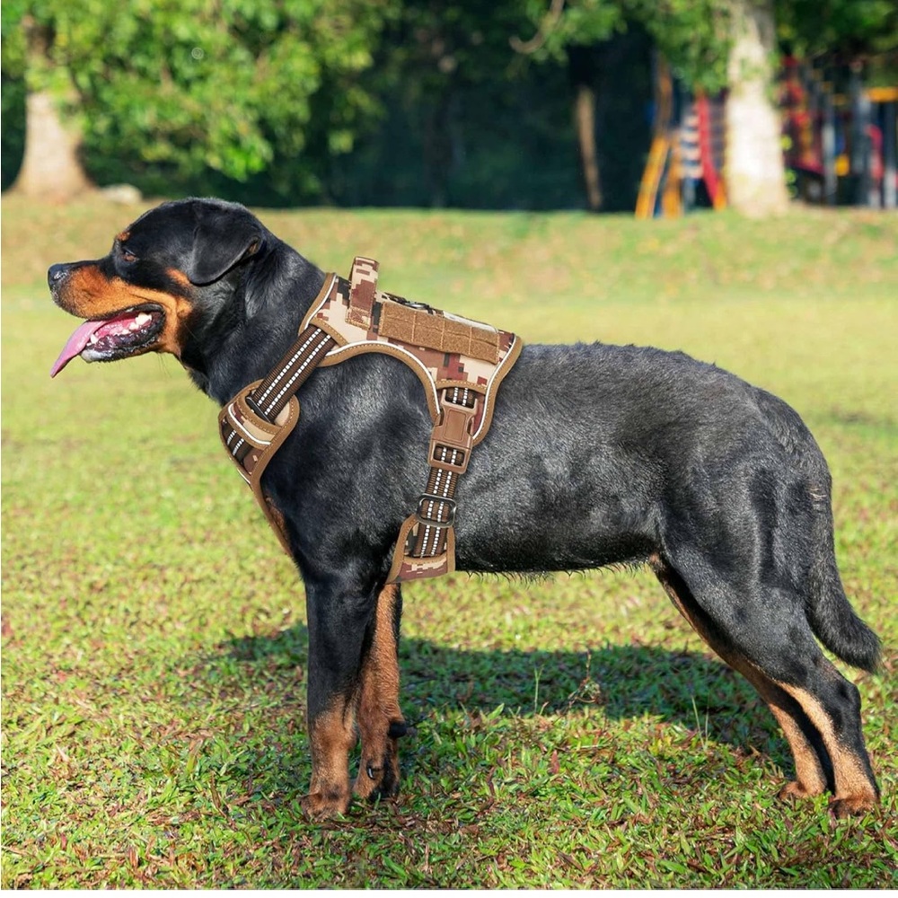 Desert Camo Design Harness and Leash- Brand New & Never Used. - Picture 6 of 7